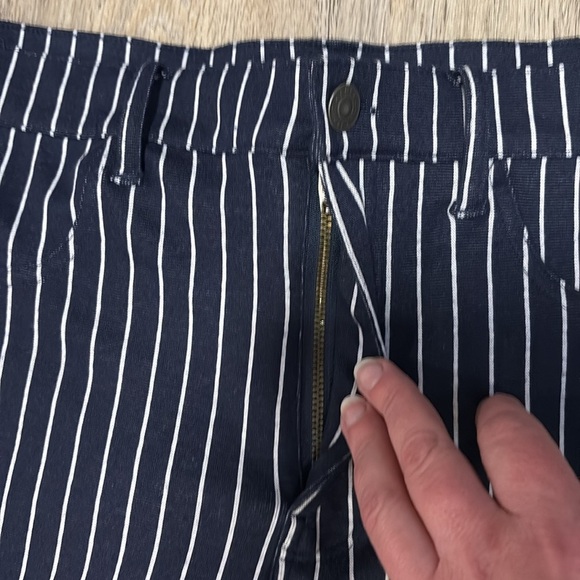 American Eagle Navy and White Striped Joggers - Picture 5 of 14